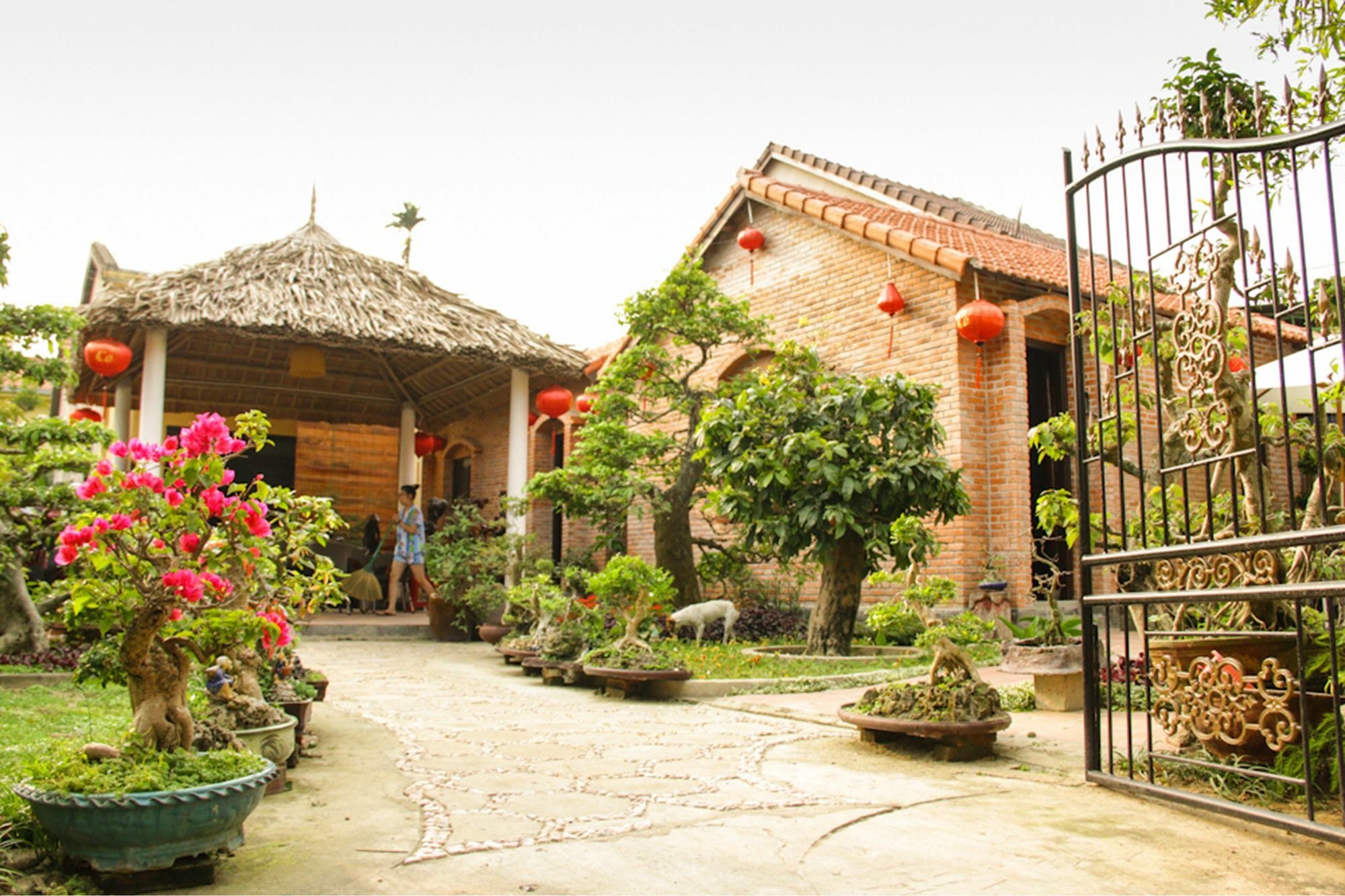 Apartament The Grass Vy Hoi An Zewnętrze zdjęcie
