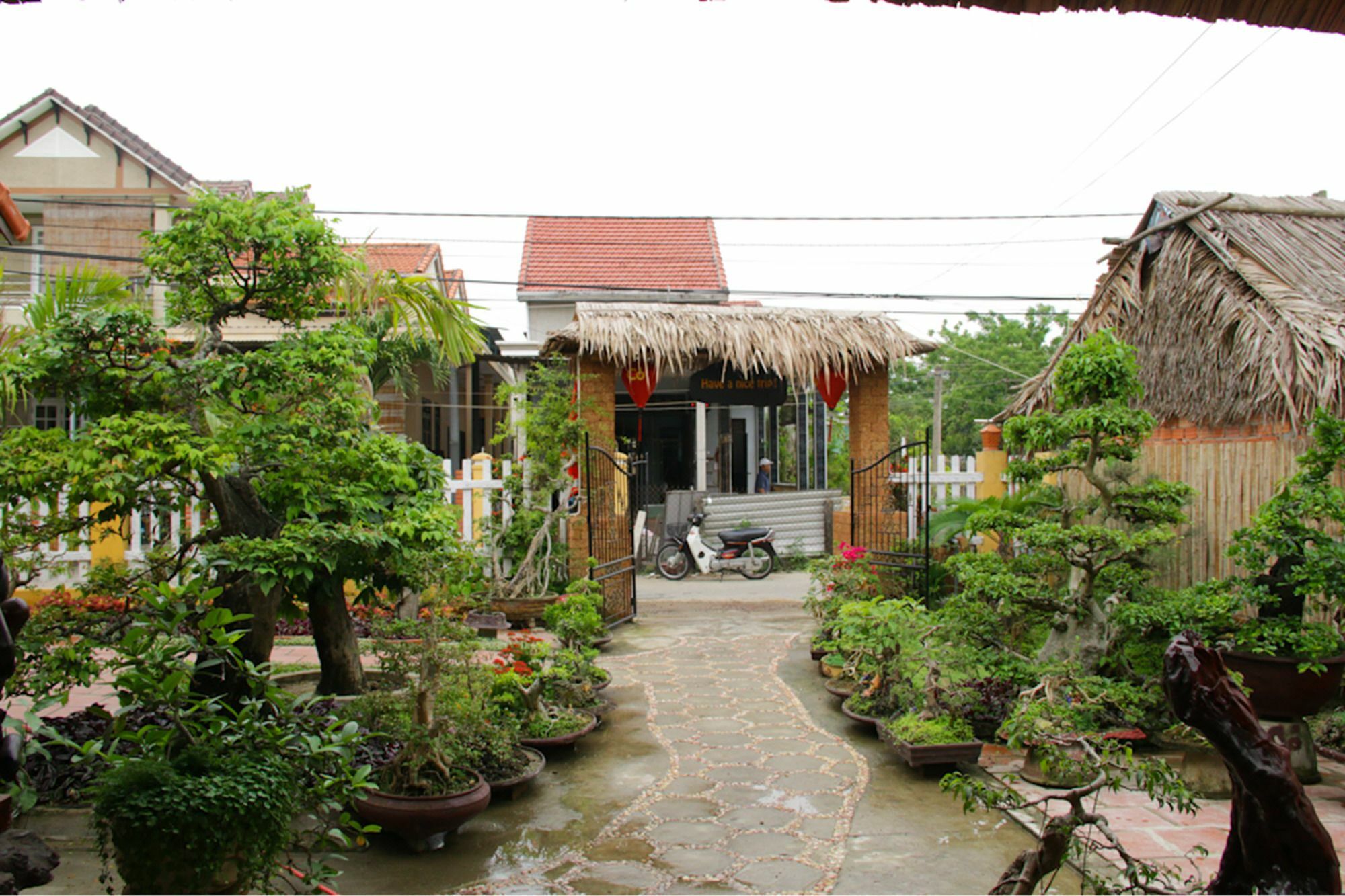 Apartament The Grass Vy Hoi An Zewnętrze zdjęcie