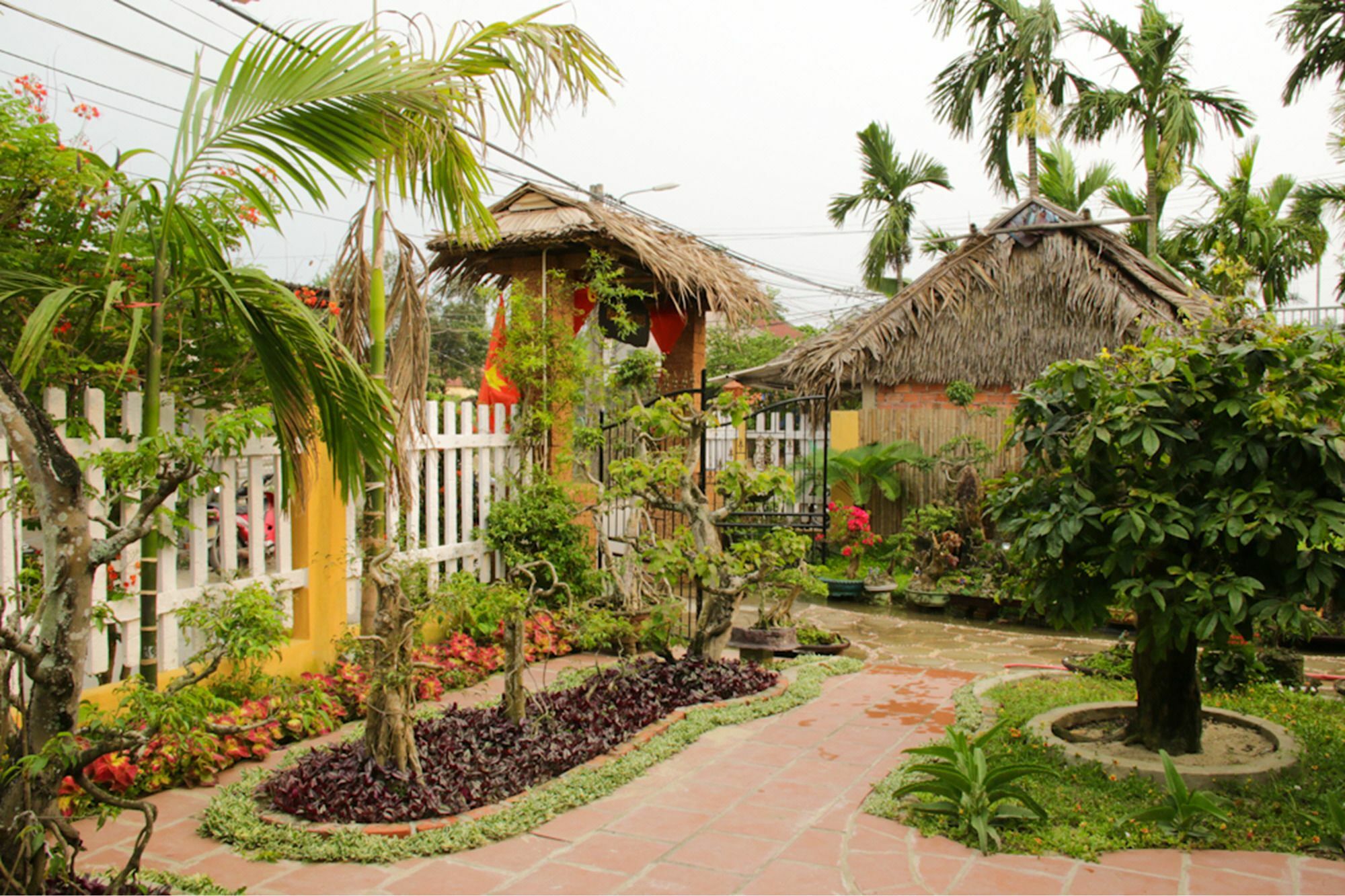 Apartament The Grass Vy Hoi An Zewnętrze zdjęcie